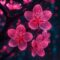 Beauty forged in Chaos: “Sakura” blends traditional elements with futuristic basslines