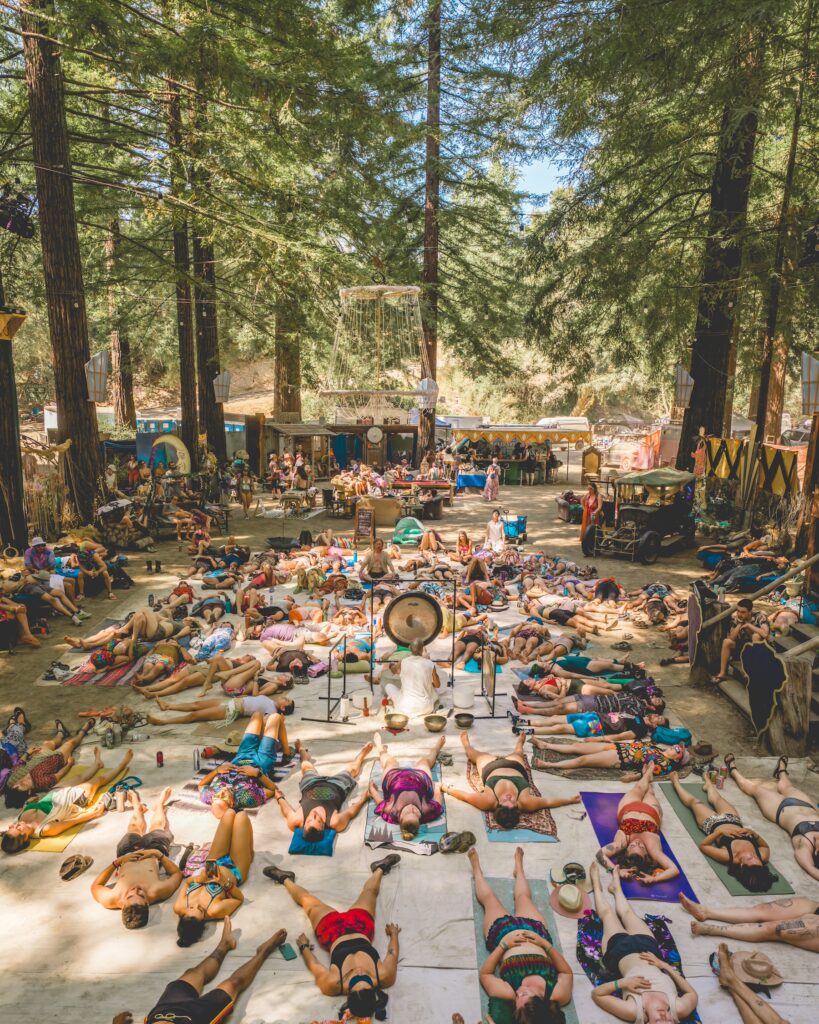 Dirtybird Campout Northern Nights 2025 Wellness