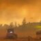 Burning Man Organizers Respond After Dust Storm Rips Camps to Shreds