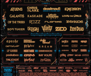 Top 5 Acts To See At North Coast Music Festival This Labor Day Weekend