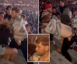 RÜFÜS DU SOL Concert Attacker ARRESTED on Assault & Battery Charges