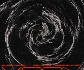 Alex Wann, Malachiii and Bees & Honey Unite On ‘Moon’