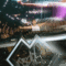 Experts Only Bringing Big Dance Festivals Back To New York
