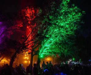 Wicked Oaks Shares Statement After Weather Issues and Medical Emergency Rumors