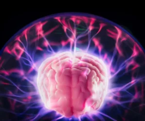 DMT Could Be a Breakthrough Stroke Treatment