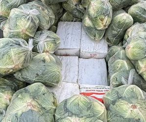 Police Seize 1.6 Tonnes of Ketamine and Crystal Meth Hidden Under Cabbages in Thailand