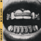 Wax Motif Drops High-Energy Single ‘Bite Down’