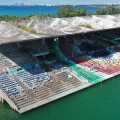 Miami Voters Decide on Marine Stadium Restoration