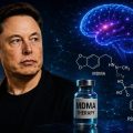 From SpaceX to Psychedelics: Elon Musk’s Circle Makes Its Next Big Bet