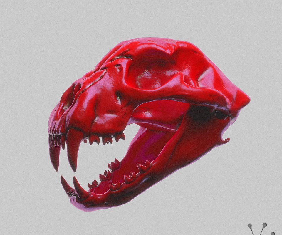 Funk Tribu Drops New Single ‘Voodoo’ on His Label TRIBE