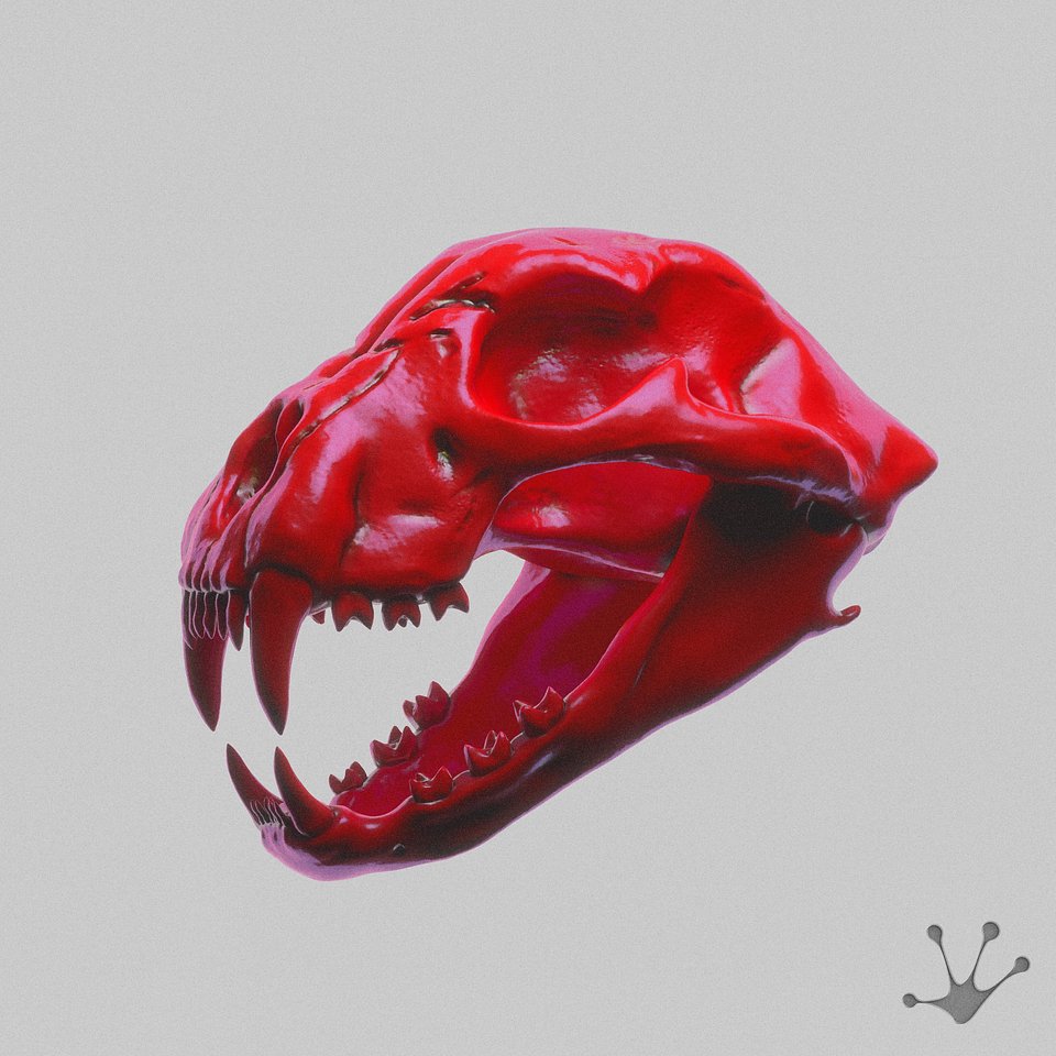 Funk Tribu Drops New Single 'Voodoo' on His Label TRIBE